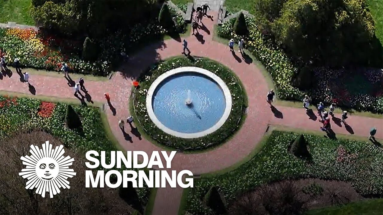 youtube placeholder image